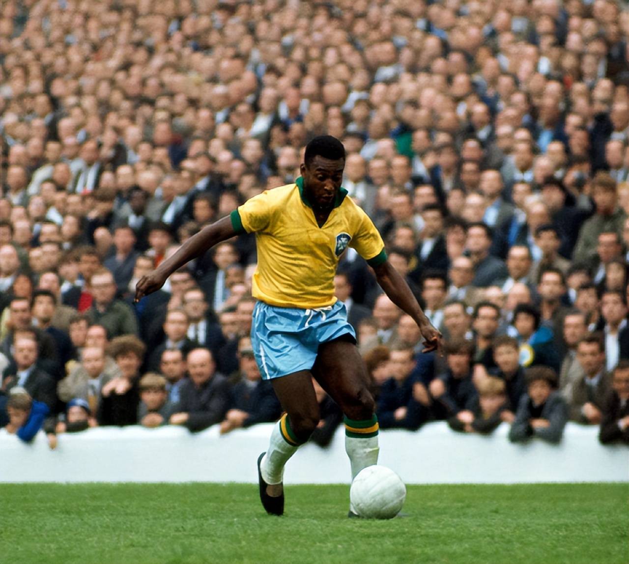 能投向贝尔 能投向贝尔